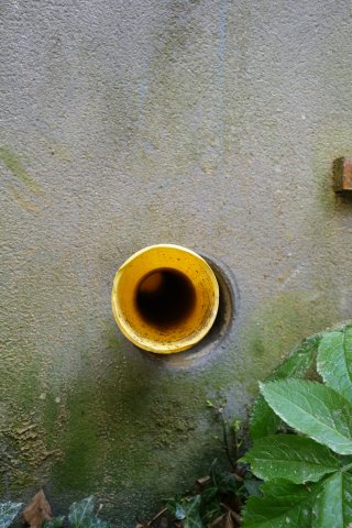 DSC02213